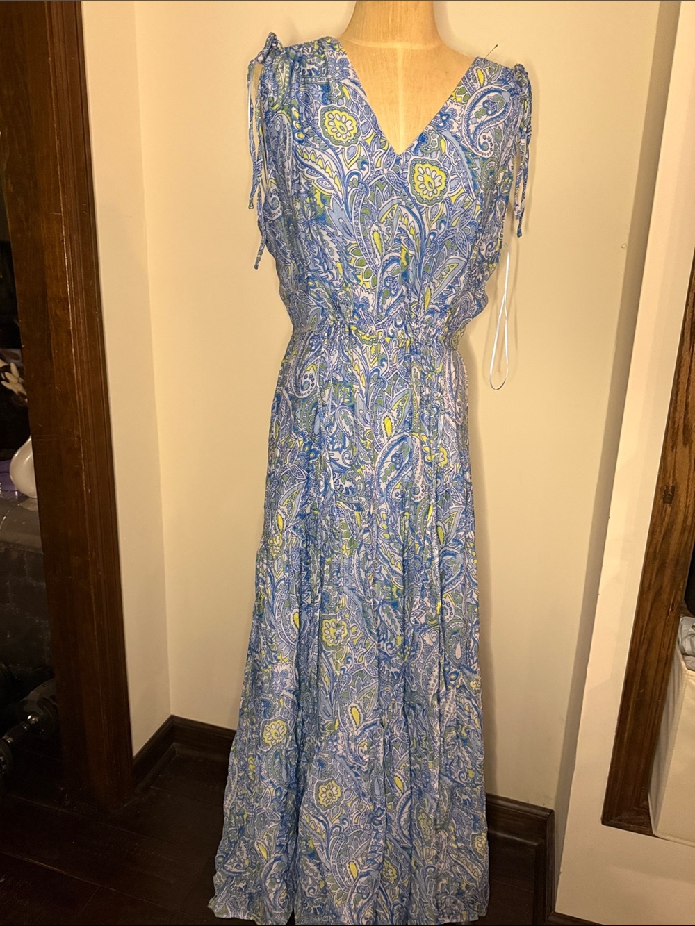 Blue Paisley V-Neck Maxi Dress